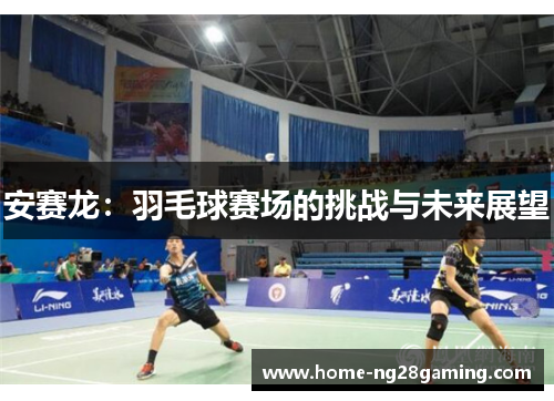 安赛龙：羽毛球赛场的挑战与未来展望