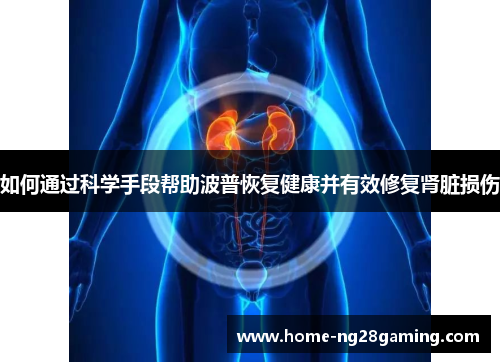 如何通过科学手段帮助波普恢复健康并有效修复肾脏损伤