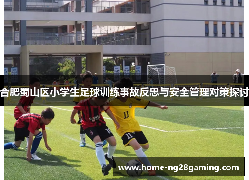 合肥蜀山区小学生足球训练事故反思与安全管理对策探讨