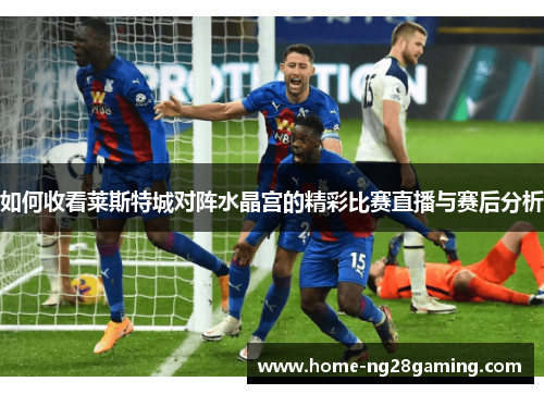 如何收看莱斯特城对阵水晶宫的精彩比赛直播与赛后分析