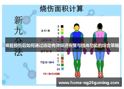 肾脏损伤后如何通过运动有效促进恢复与提高功能的综合策略