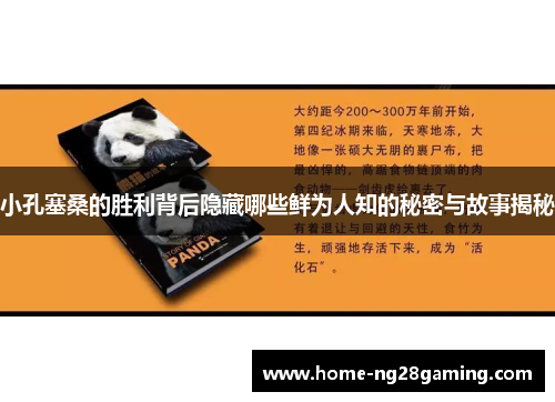 小孔塞桑的胜利背后隐藏哪些鲜为人知的秘密与故事揭秘