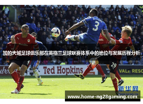 加的夫城足球俱乐部在英格兰足球联赛体系中的地位与发展历程分析