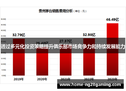 通过多元化投资策略提升俱乐部市场竞争力和持续发展能力 通过多元化投资策略提升俱乐部市场竞争力和持续发展能力